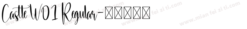 Castle W01 Regular字体转换